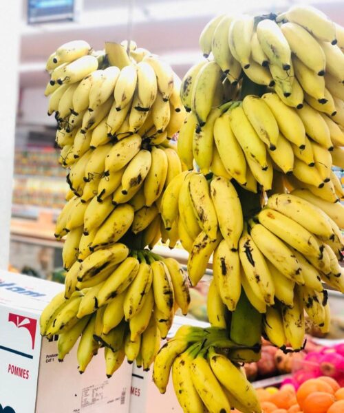 Rasthali Banana (Shorty) - Image 2