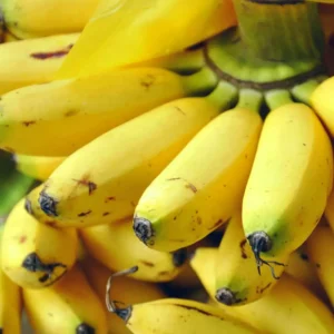 Rasthali Banana (Shorty)