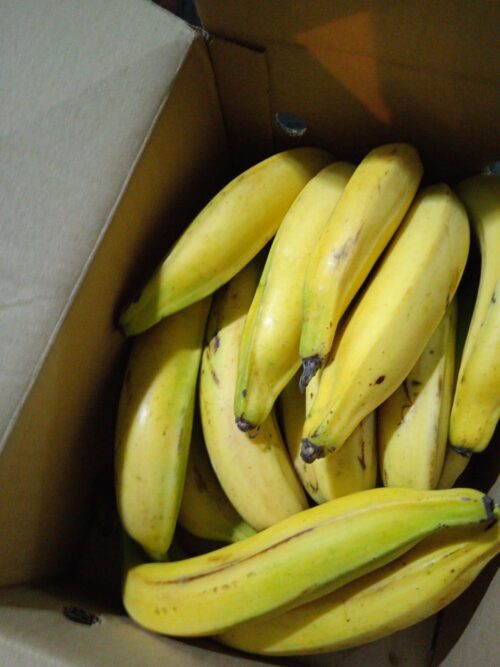 Nendran Banana (long) - Image 5