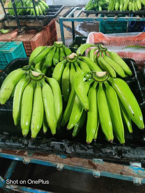 Nendran Banana (long) - Image 2